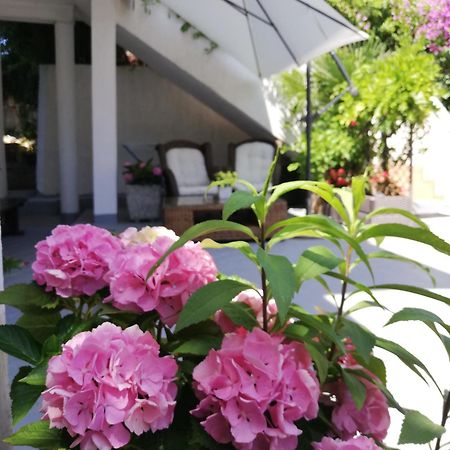 Apartments Poretti For 2,In Center Parking Free In The Yard,6 Min Beach Walk Rovinj Eksteriør bilde