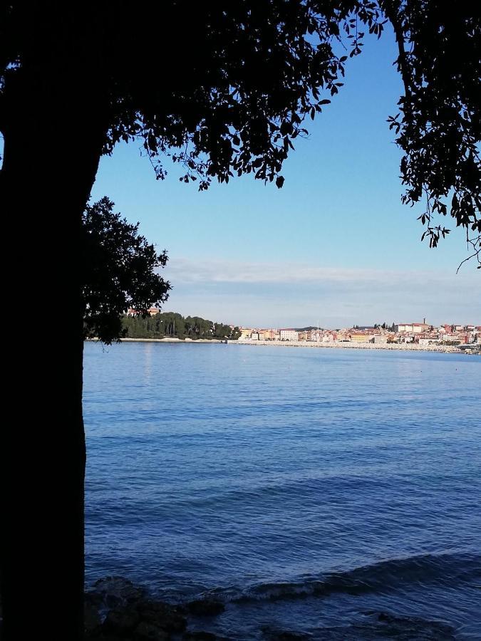 Apartments Poretti For 2,In Center Parking Free In The Yard,6 Min Beach Walk Rovinj Eksteriør bilde