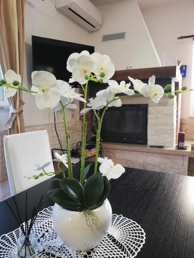 Apartments Poretti For 2,In Center Parking Free In The Yard,6 Min Beach Walk Rovinj Eksteriør bilde