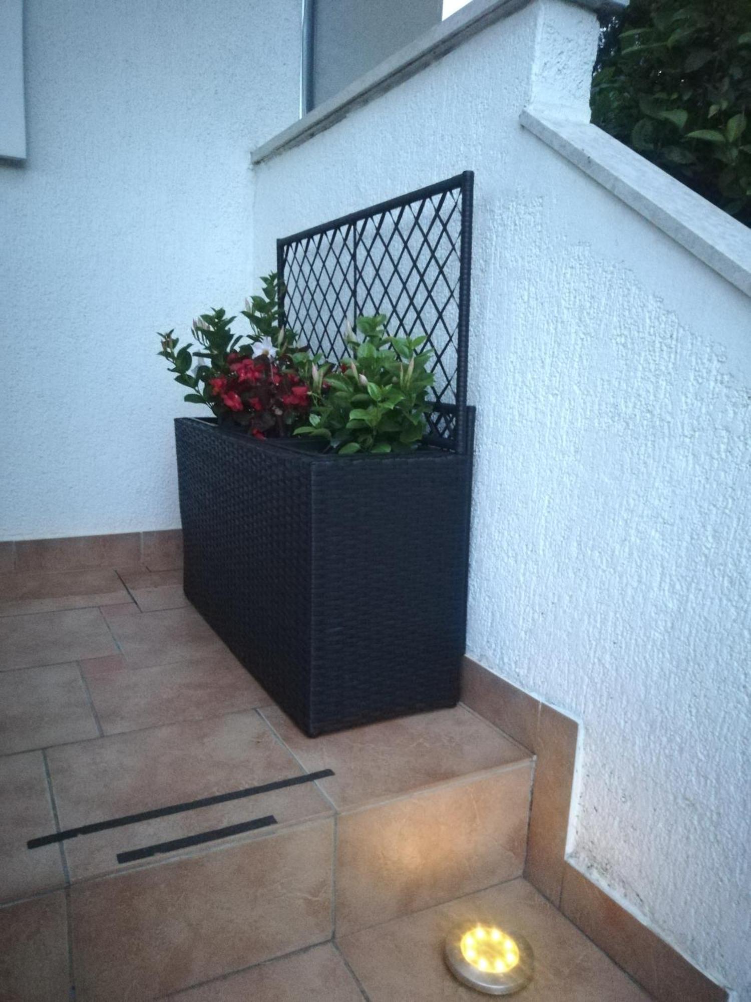 Apartments Poretti For 2,In Center Parking Free In The Yard,6 Min Beach Walk Rovinj Eksteriør bilde